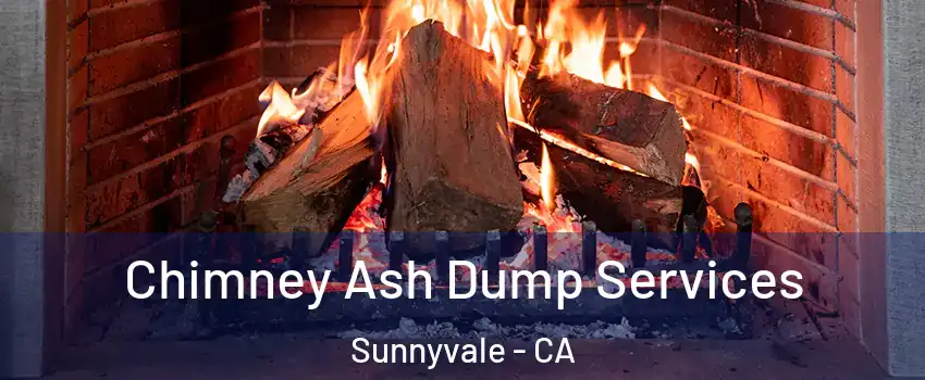  Chimney Ash Dump Services Sunnyvale - CA