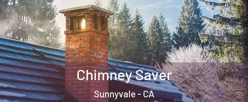  Chimney Saver Sunnyvale - CA